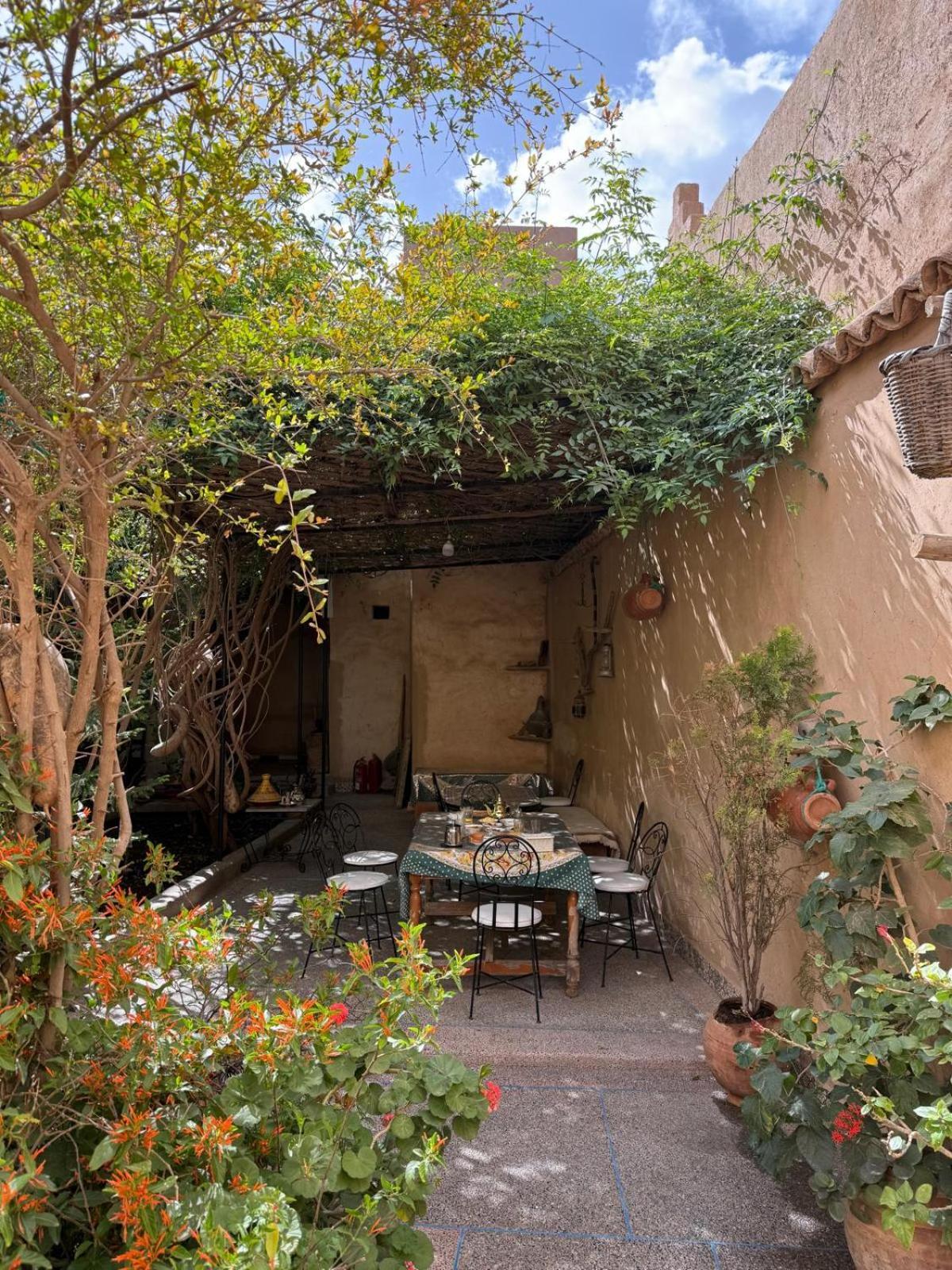 דירות Oasis De Tiout מראה חיצוני תמונה